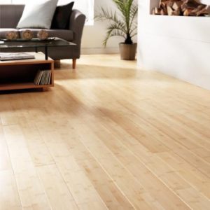 Blonde Hardwood Floors